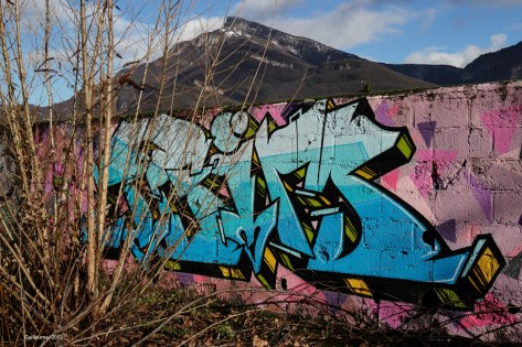 La nature reprend peu à peu ses droits.